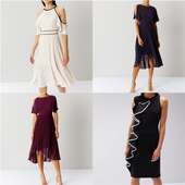 Coast Dresses