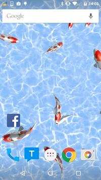 Koi Fish Live Wallpaper 3 تصوير الشاشة