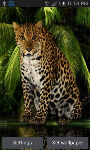 Angry Forest Leopard LWP स्क्रीनशॉट 1