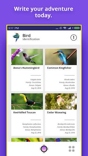 Bird Identifier screenshot 3