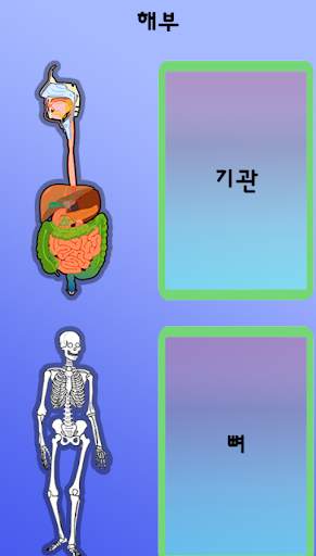 해부 screenshot 2