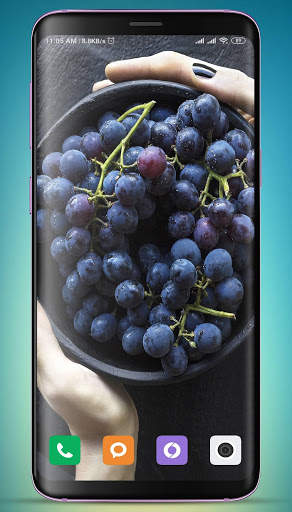 Grapes Wallpaper HD screenshot 13