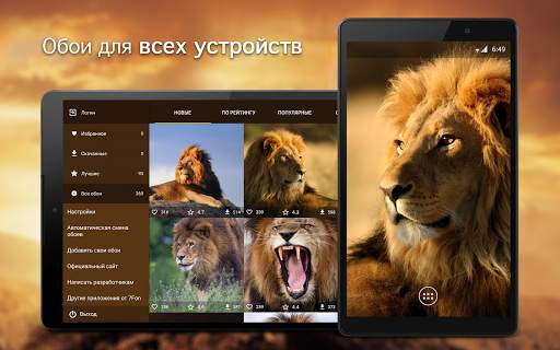 Обои со львами | Львы от 7Fon скриншот 5