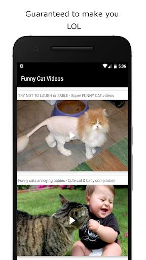 Funny Cat Videos screenshot 1