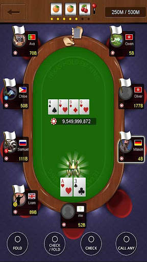 Texas holdem poker king screenshot 7