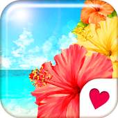 Cute wallpaper★Hibiscus Beach 1.0