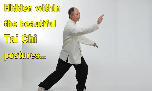 Tai Chi Martial Applications screenshot 12