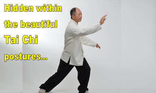 Tai Chi Martial Applications screenshot 12