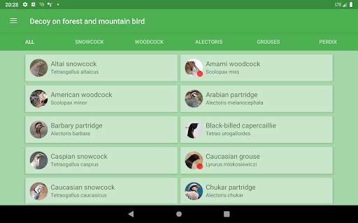 Decoy on forest bird screenshot 4