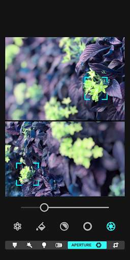 Focos Evolution Camera screenshot 1