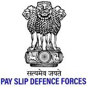 Pay Slip