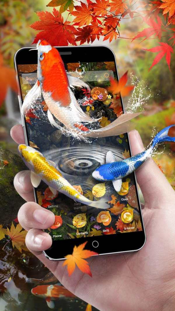 Autumn 3D Koi Fish Theme screenshot 4