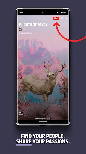 Flipboard: The Social Magazine screenshot 5