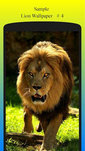 Lion Wallpaper HD Free screenshot 5