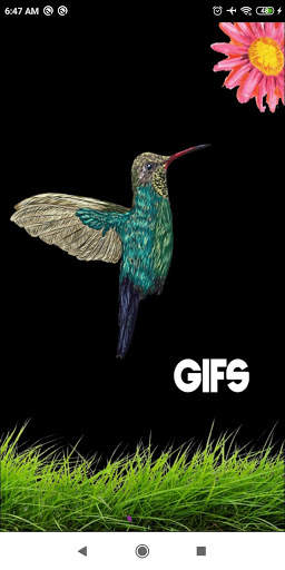 Gifs para Whatsapp screenshot 1