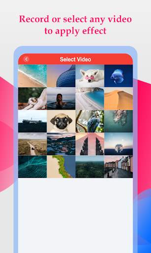 Slow And Fast Video Maker screenshot 1