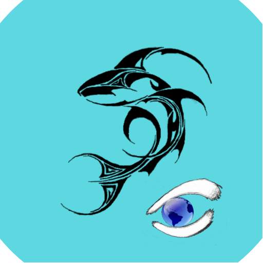 Ski Shark 5.0