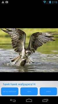 Hawk Bird of Prey HD Wallpaper screenshot 5