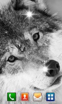 Wolves Voices live wallpaper screenshot 2