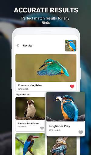 Birds Identifier App by Photo, Bird ID Camera 2020 screenshot 5