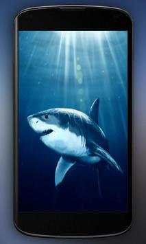 Shark Attack Live Wallpaper screenshot 4