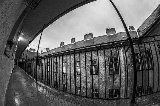 Fisheye Pro Video & Camera 2 تصوير الشاشة
