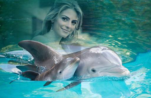 Dolphin Photo Frames screenshot 2