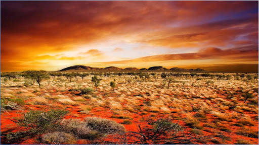 BF Nature Images screenshot 3