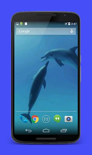 Dolphins Video Live Wallpaper screenshot 5