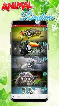 Animals Sound Ringtones Real Free screenshot 5