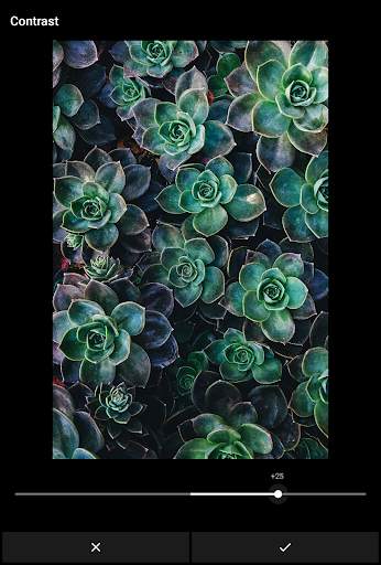 Grafo Photo Studio screenshot 7