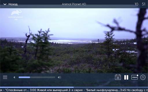 Almatel TV screenshot 14