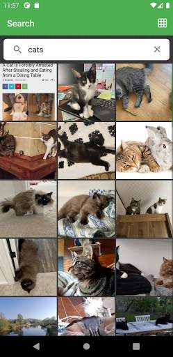 Imgur Browser screenshot 2