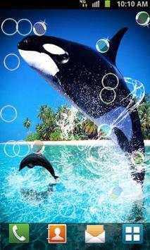 Dolphin Live Wallpaper screenshot 7
