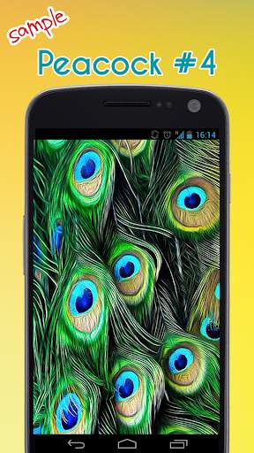 Peacock Wallpaper screenshot 5