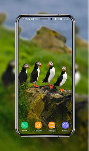 Birds Wallpaper screenshot 12