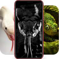 Snake Images | Cobra Pictures on 9Apps