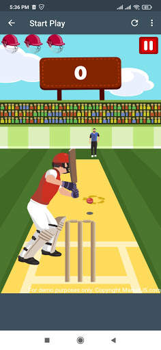 Pro Cricket Championship screenshot 1