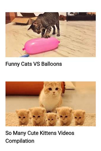 Funny Cat Best Videos स्क्रीनशॉट 6