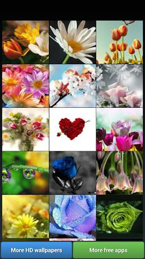 Flowers HD Wallpapers screenshot 1