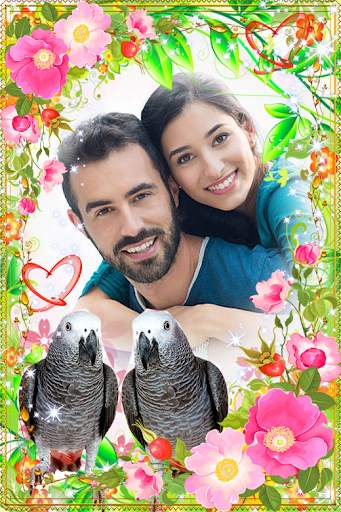 Love Bird Photo Frames स्क्रीनशॉट 7
