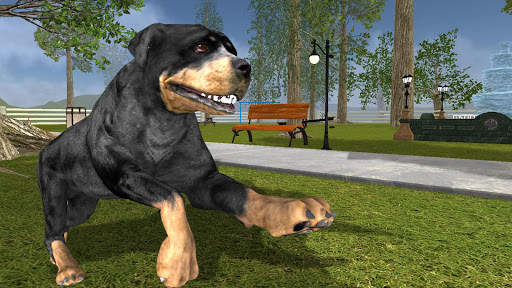 Rottweiler Dog Life Simulator screenshot 5