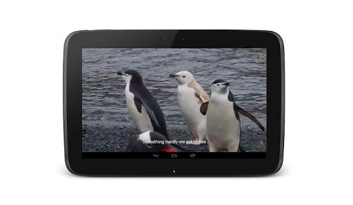 IVideo Player screenshot 4