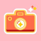 RedCamera – PIP photo 1.6