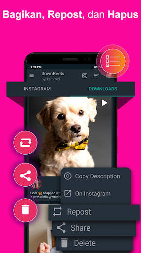 DownReels: Reels & Pengunduh Video untuk Instagram screenshot 5