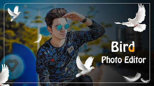 Bird Photo Editor 2019 2 تصوير الشاشة