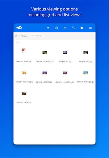 MediaFire screenshot 12