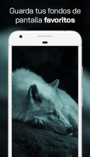 Lobo Fondos de Pantalla 3 تصوير الشاشة