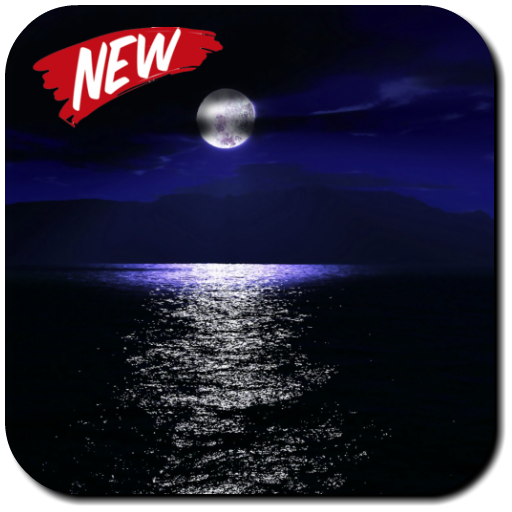 Night Wallpaper أيقونة