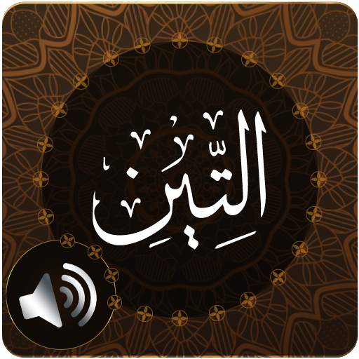 Surah Tin Audio 1.1